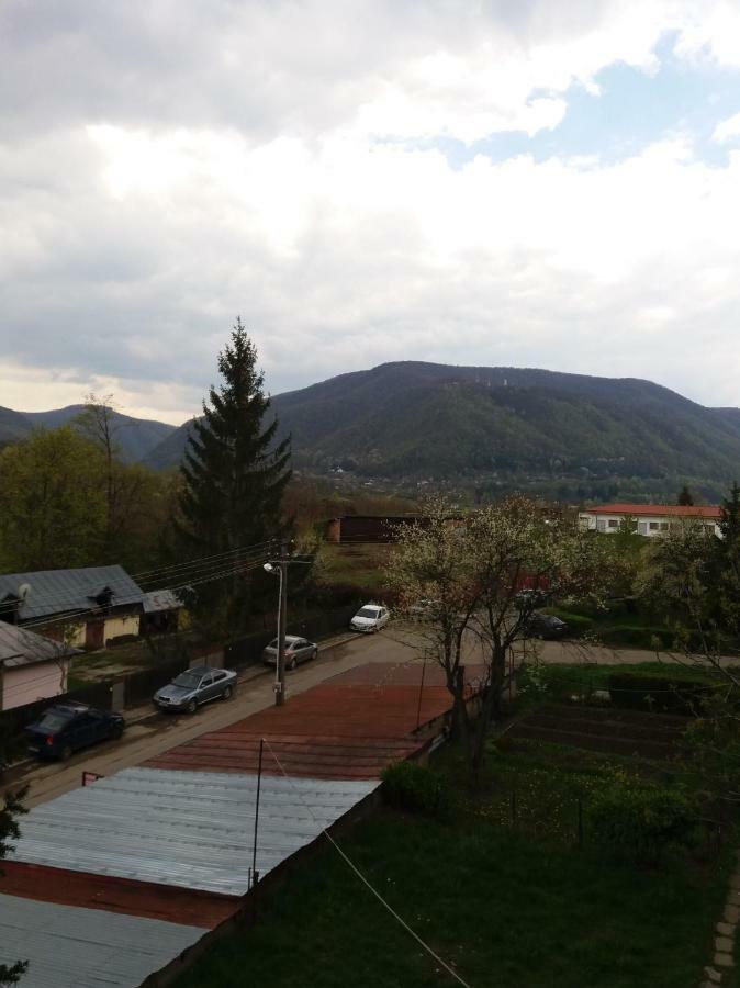 Apartament Elefant Tg. Ocna Apartment Tirgu Ocna Bagian luar foto